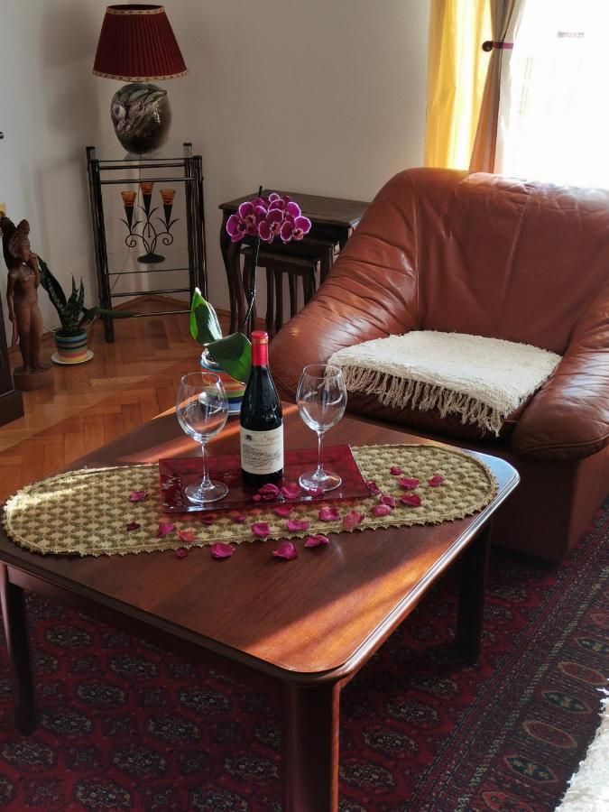 Apartmán Rajana , Beograd - Hram Svetog Save Exteriér fotografie