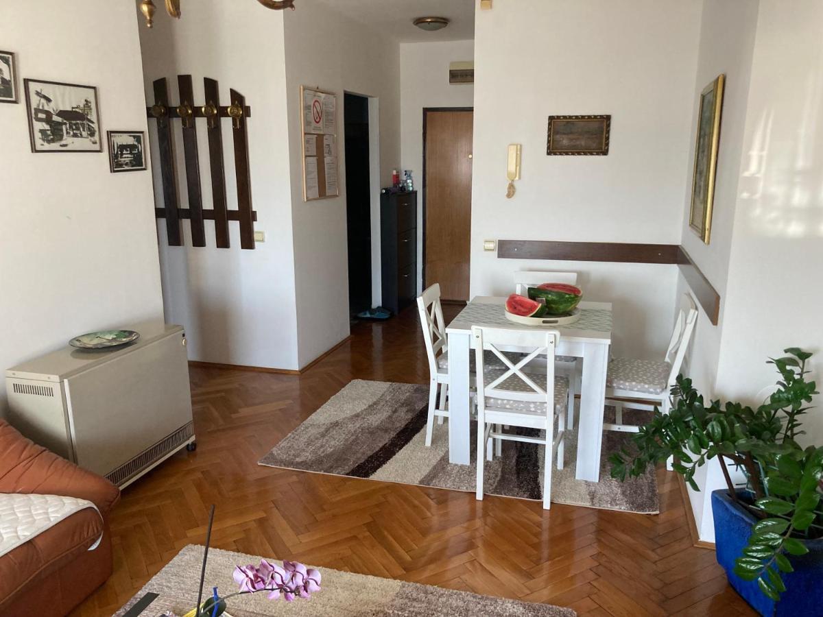 Apartmán Rajana , Beograd - Hram Svetog Save Exteriér fotografie